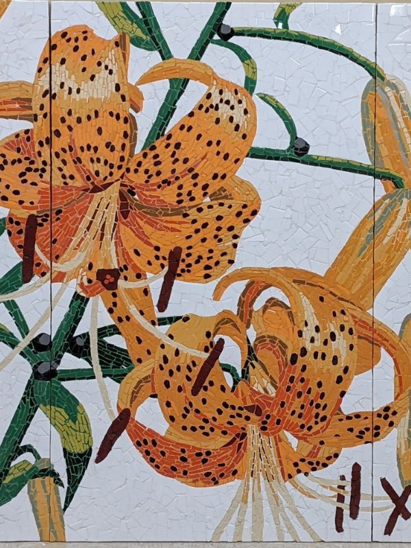 Adult Wednesday Mosaic