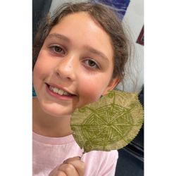 <strong>Art & Science</strong>