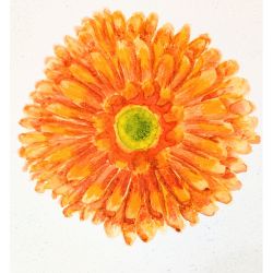 <strong>Bit of Everything</strong>