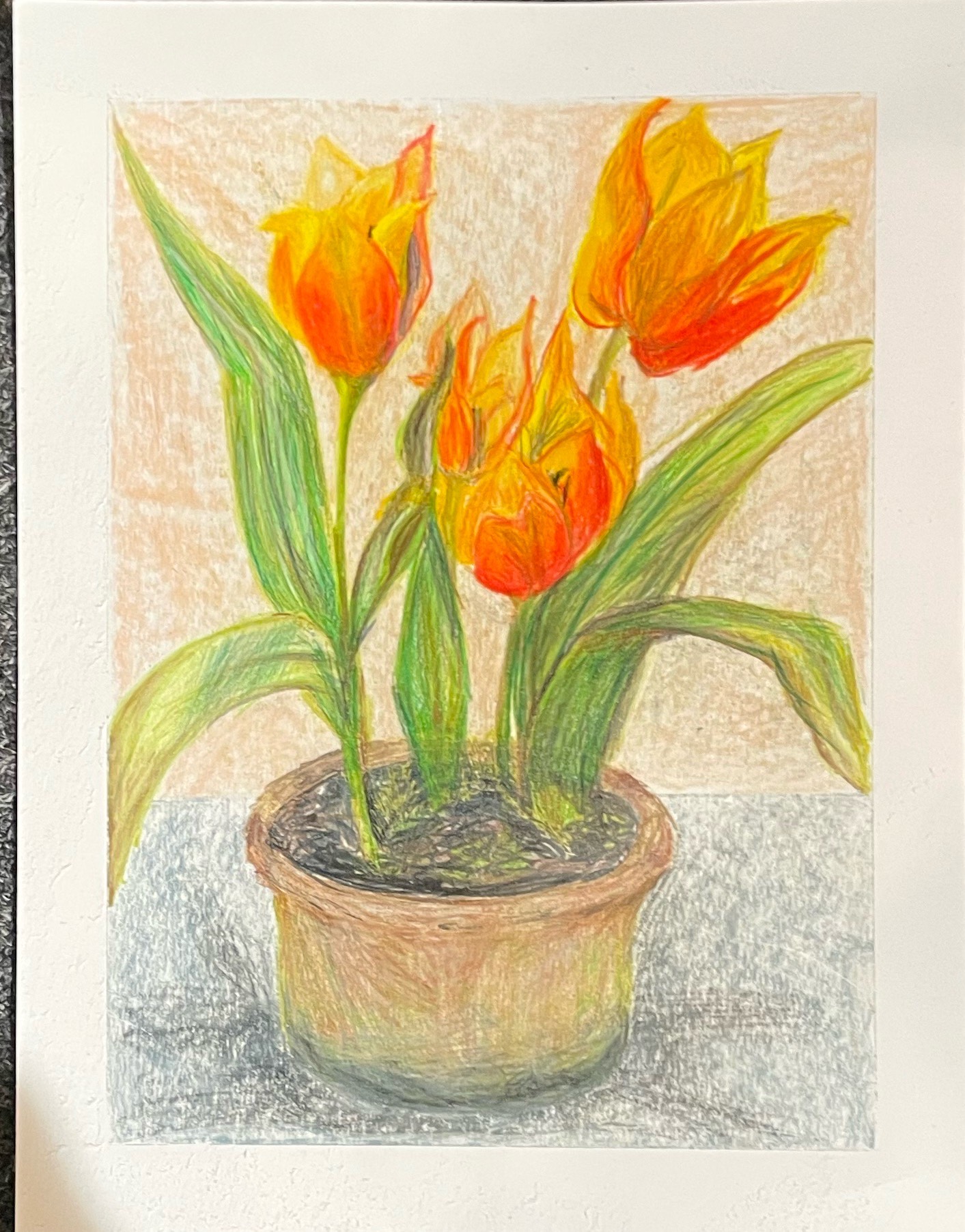 <strong>Chalk & Oil Pastels</strong>