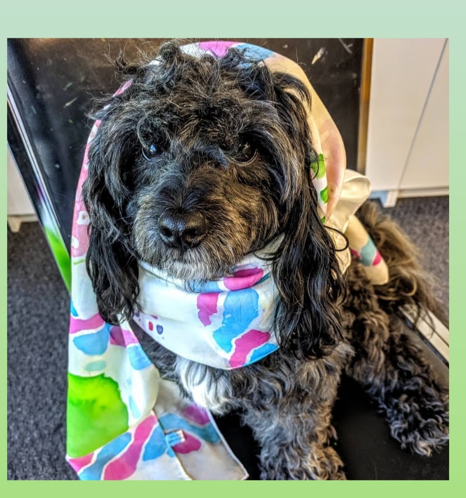 <strong>Textiles FUN!!!</strong>