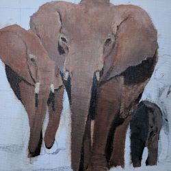 <strong>Walk in the WILD (Animal) Week</strong> <br><br> Observe the way artist’s eyes do, using ink, graphite, charcoal, pastels, & colored pencil. Proportion, light, shadow, shading, perspective, line & tone will make your drawings spring to life.