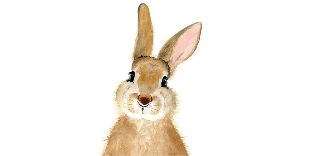 ANIMAL WATERCOLORS TRY IT CLASS